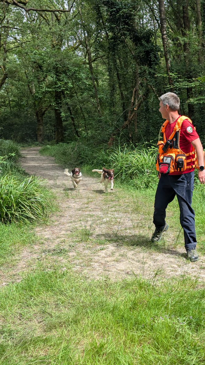 searchdogmillie's tweet photo. Dad ran me and @kodasearchdog together at training today. Dual search dogs at work. It was so fun! Koda got the first misper, I got the second and we both alerted dad at the same time for number 3! So I’m calling it a draw! https://t.co/P257tMI0WT