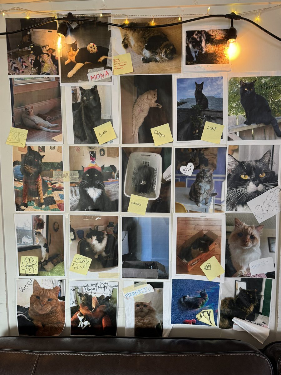 Out of the Cold Community Association tweet media