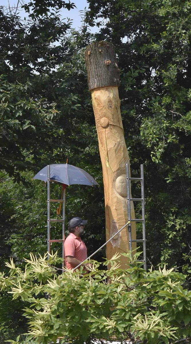 ColbocJulien's tweet photo. Encore une belle série de photos de Linh-Dan ANH-TON montrant mon travail de taille d'un châtaignier sur pied.
Cet arbre est condamné (atteint à cœur)
Commande de la ville de Sainte-Geneviève-des-bois 91
#juliencolboc #colboc #art #sculpture https://t.co/gW2vh7U6MV