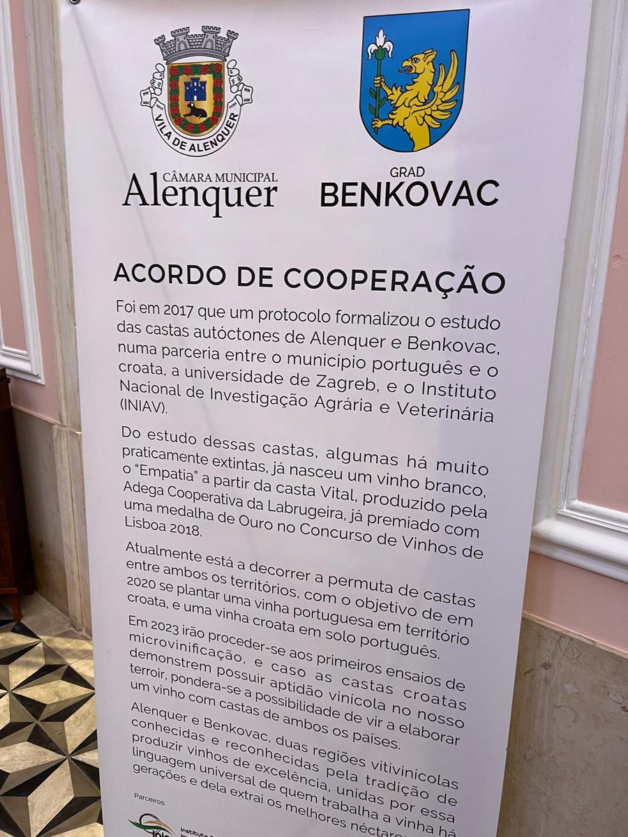 Anita Tršić tweet media