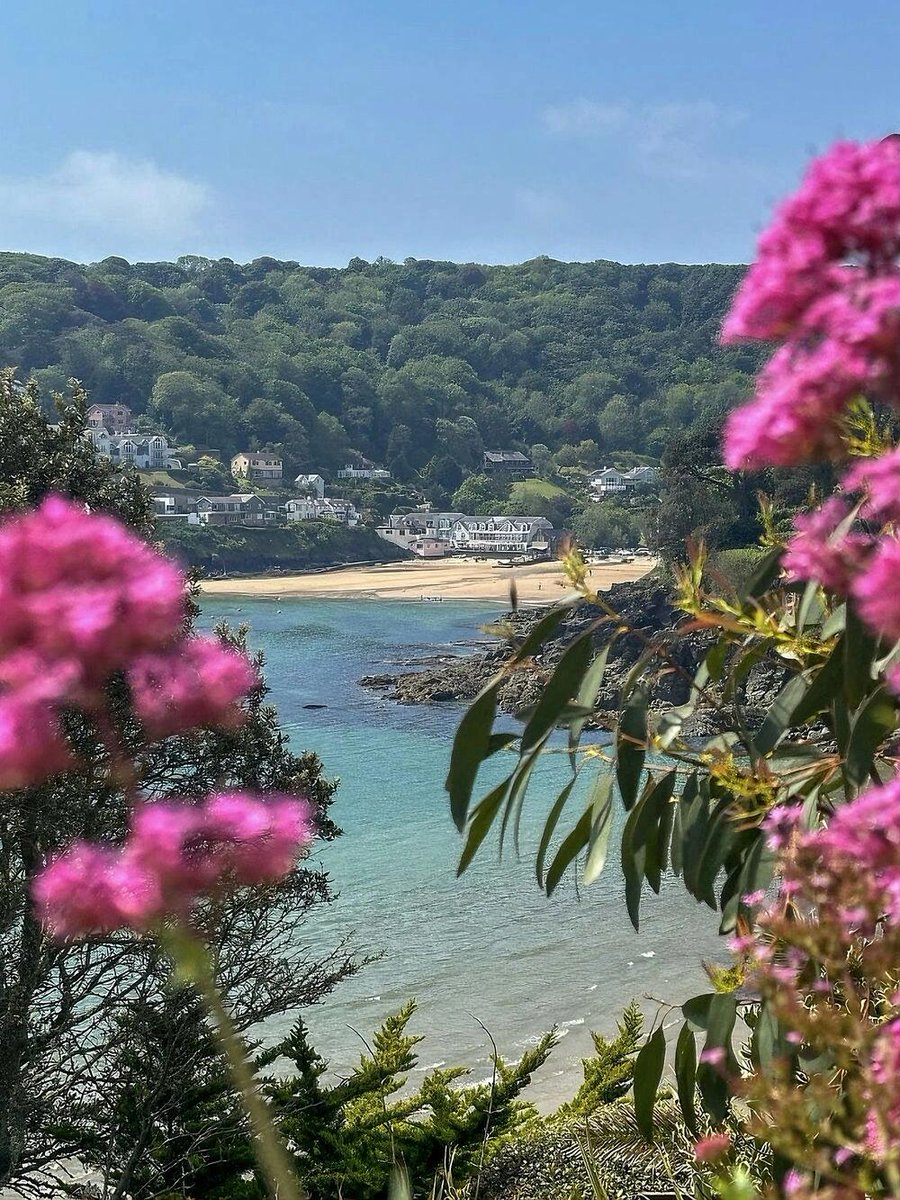 CngrCangr's tweet image. Happy holiday!
 Salcombe is a treasure town in Devon, England. When the weather is clear, the blue sea is full of white sailboats, the golden beach is sparkling in the sun, and the crystal clear water gently laps the shore