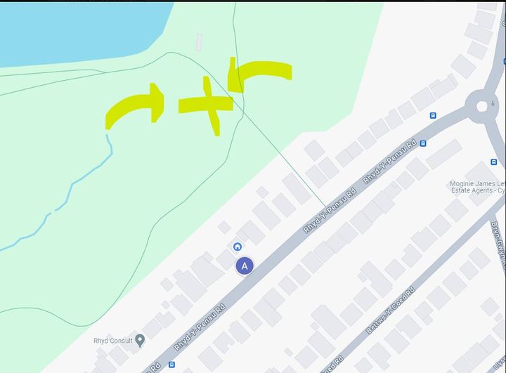 Our next workday is this Sunday 30th June, 10am-12pm. We are meeting at the old Reservoir Car Park, off Rhydypenau Road. Action plan:  managing overgrown footpaths, bracken control, logging meadow wildflowers. ☘️🪻🌿