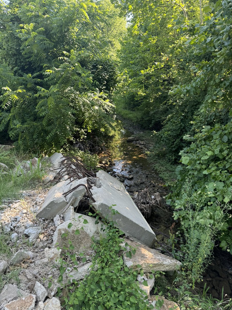 The natural beauty of the streams running through SGCC is #stunning Shout out <a href="/EPAwater/">U.S. EPA Water</a>