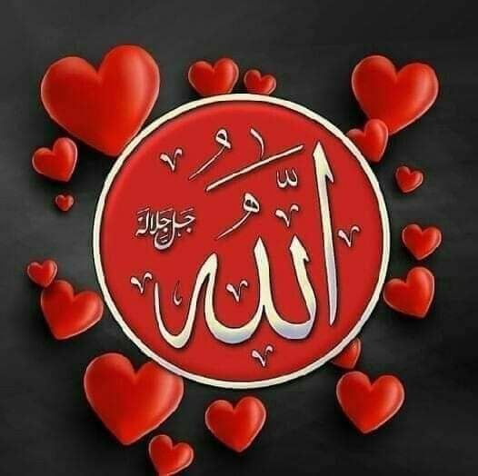 AlmisrateAisha's tweet photo. @YlAsma15121 الي الله...يفرج ضيقه وهمه https://t.co/Qx0E6H3363