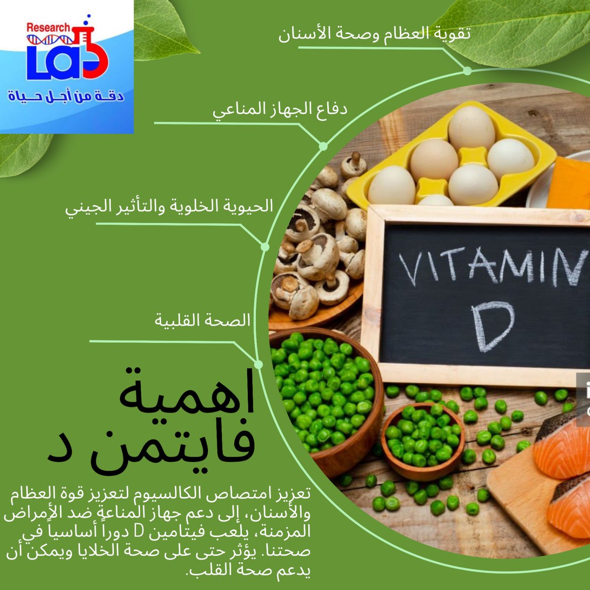 ResearchLabsm's tweet image. استكشف فوائد فيتامين D! يقوي العظام والأسنان، يدعم المناعة ضد الأمراض، ويحسّن صحة الخلايا والقلب. احصل عليه من أشعة الشمس لحياة صحية! 🌞💪 #فيتامين_D