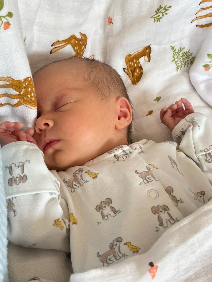 Bethan Moore tweet media