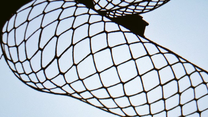 ハァ ハァッ ハッ 