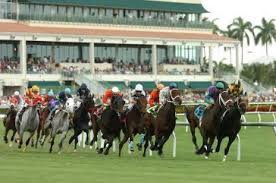 lotohipico's tweet photo. #GULFSTREAMPARK #HIPISMO #AMERICANAS. #SATURDAY #SABADO #JUNIO29
@Derbynoqueador (+58 4248131900.)🥊
QUINTA CARRERA: 2 "Lance"/3. https://t.co/dOcrMezLcq