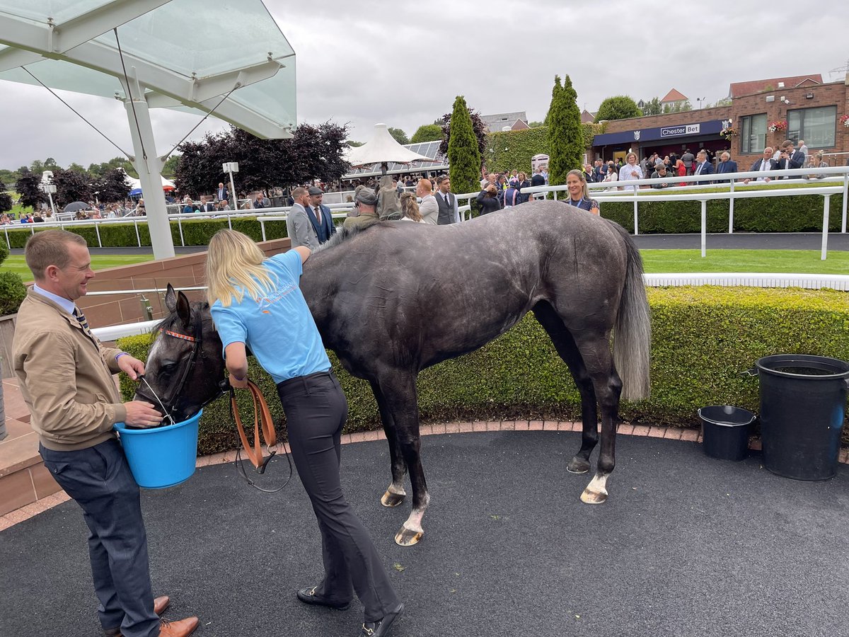 Taylor_Magic's tweet image. Bobby doing us proud…
@MissKerry13 thanks for all you do with him.

@MprUpdates @ChesterRaces