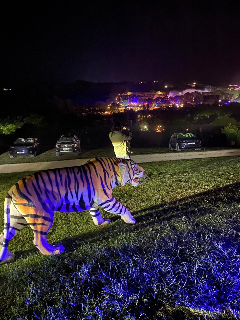 Lift to the festival!! #tiger