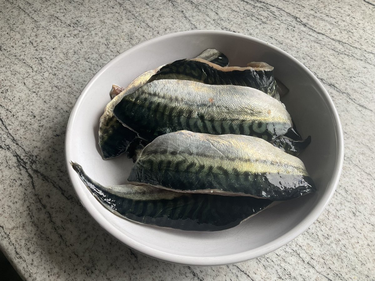 Fresh mackerel caught today, Cowie, Stonehaven, BBQ time..