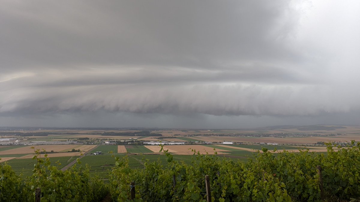 Le Pédonculé tweet media