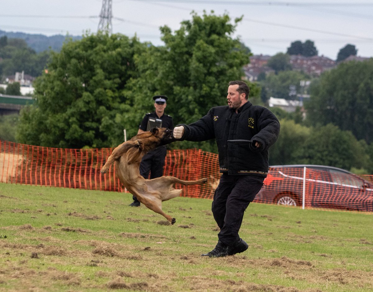 NorthernPeasant's tweet image. Man&apos;s best friend...if you behave. @WestYorksPolice #ArmedForcesDay #PoliceDogs #Pontefract