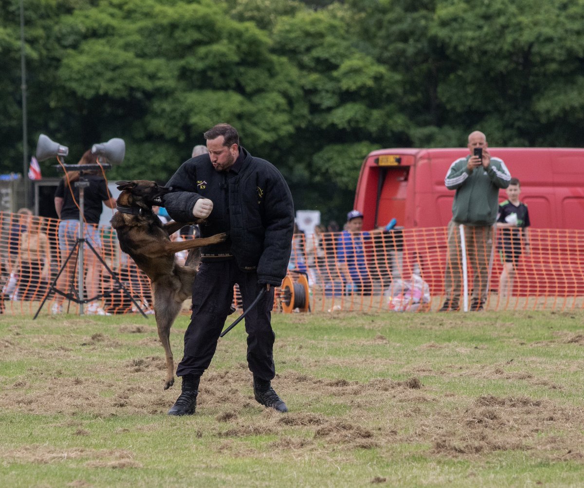 NorthernPeasant's tweet image. Man&apos;s best friend...if you behave. @WestYorksPolice #ArmedForcesDay #PoliceDogs #Pontefract