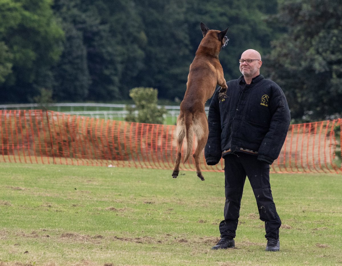 NorthernPeasant's tweet image. Man&apos;s best friend...if you behave. @WestYorksPolice #ArmedForcesDay #PoliceDogs #Pontefract