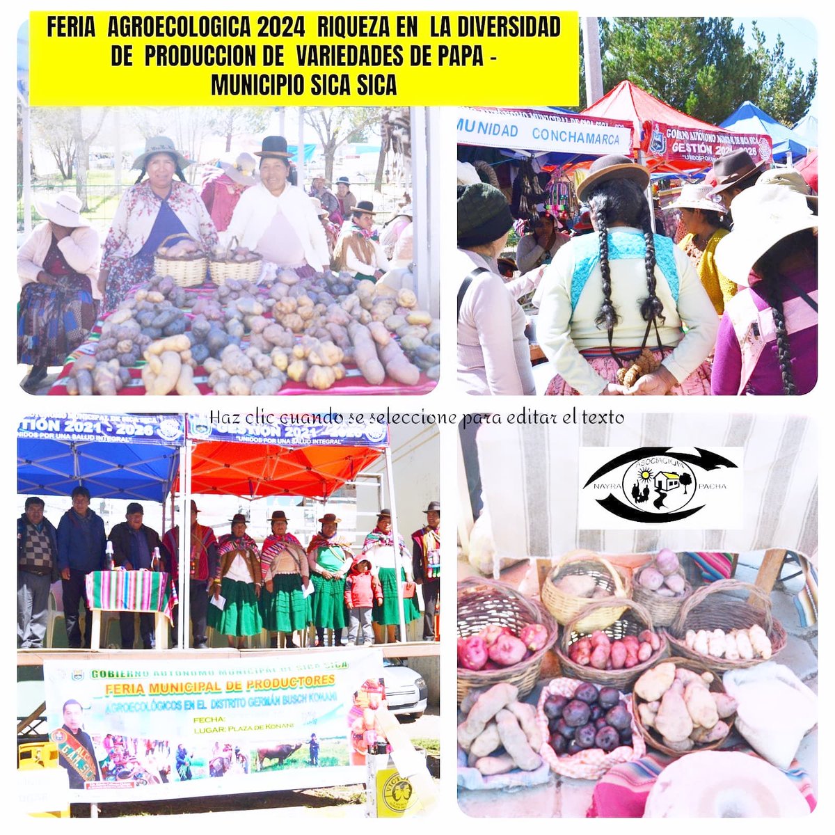 Paso a paso se fortalece y se valora la importancia de recuperar y mantener la Biodiversidad de las semillas de papa para avanzar a una verdadera seguridad alimentaria."Feria Agroecología-Municipio Sica sica".