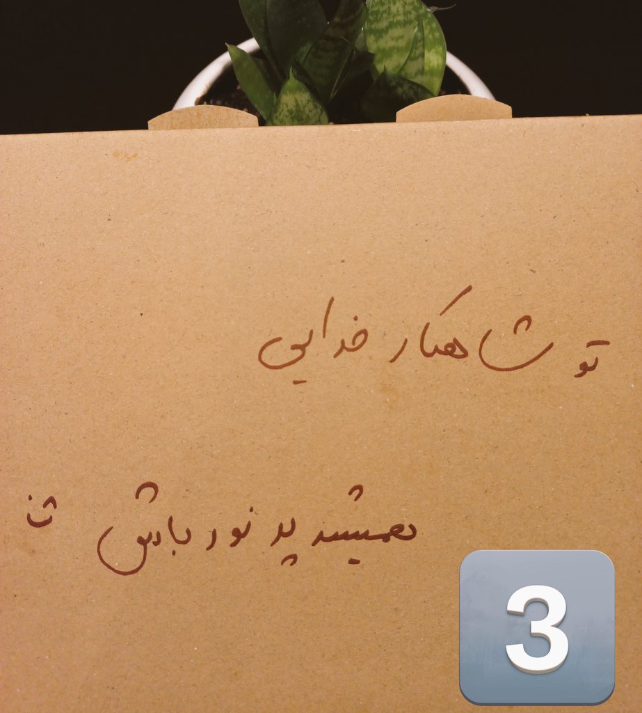 بعضی وقتا  باید حتی به جعبه پیزاتون هم بیشتر دقت کنید 
 شاید یکی اون پشت داره سعی می‌کنه از افسردگی نجاتتون بده 🕊️🕊️