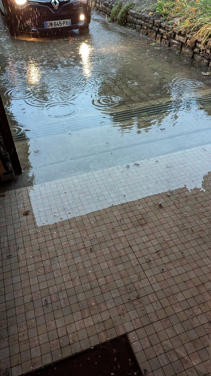 Le Pédonculé tweet media