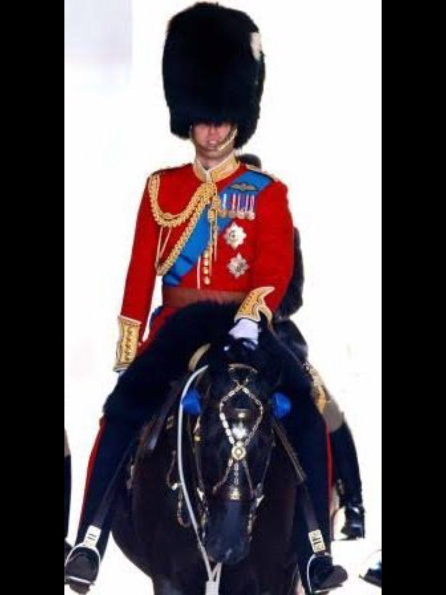 mimi93749667's tweet image. That’s exactly what Trump Said years ago “ there is not such thing as bad publicity “ they want to keep their names on the news and succeeded, we all stopped talking about #EarthshotPrize and #StateVisitJapan 🇯🇵 🇬🇧 ,#TroopingTheColor ,and theRoyal garden party.