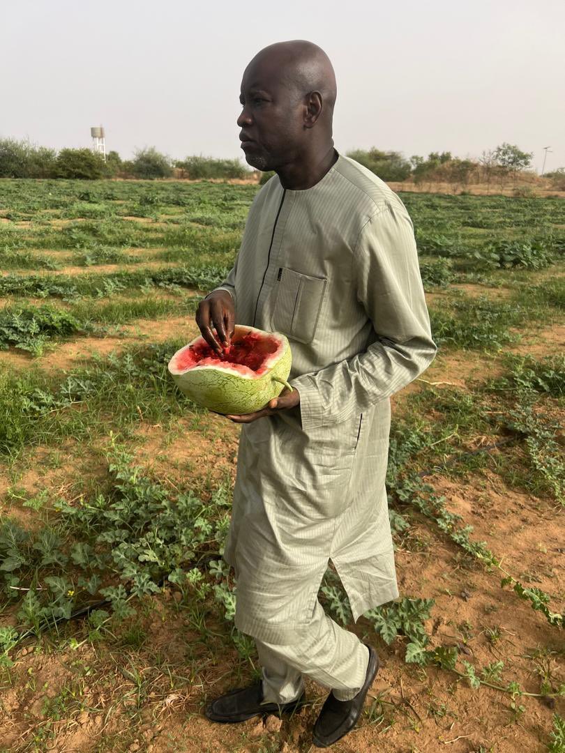 Aly_Ngouille's tweet image. 🇸🇳🍉Une récolte fructueuse et savoureuse de Pastèques dans nos champs de Kilim à Linguère ce week-end !

#Récolte #Nature #Kilim #Linguère #Pastèque