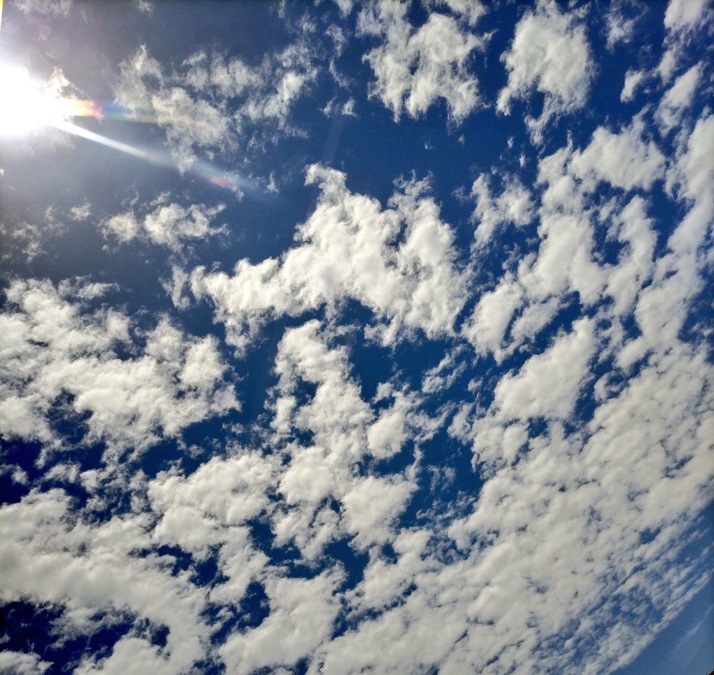 相手の魅力を引き出し続けると、自然に自分の魅力も引き出される✨
自分磨きって言葉が溢れてるけど、一番の自分磨きの方法は「お相手磨き」
一番身近な人の魅力を引き出し続けることから自分磨きがスタートする✨🌱✨そこから広がっていく✨🪽✨