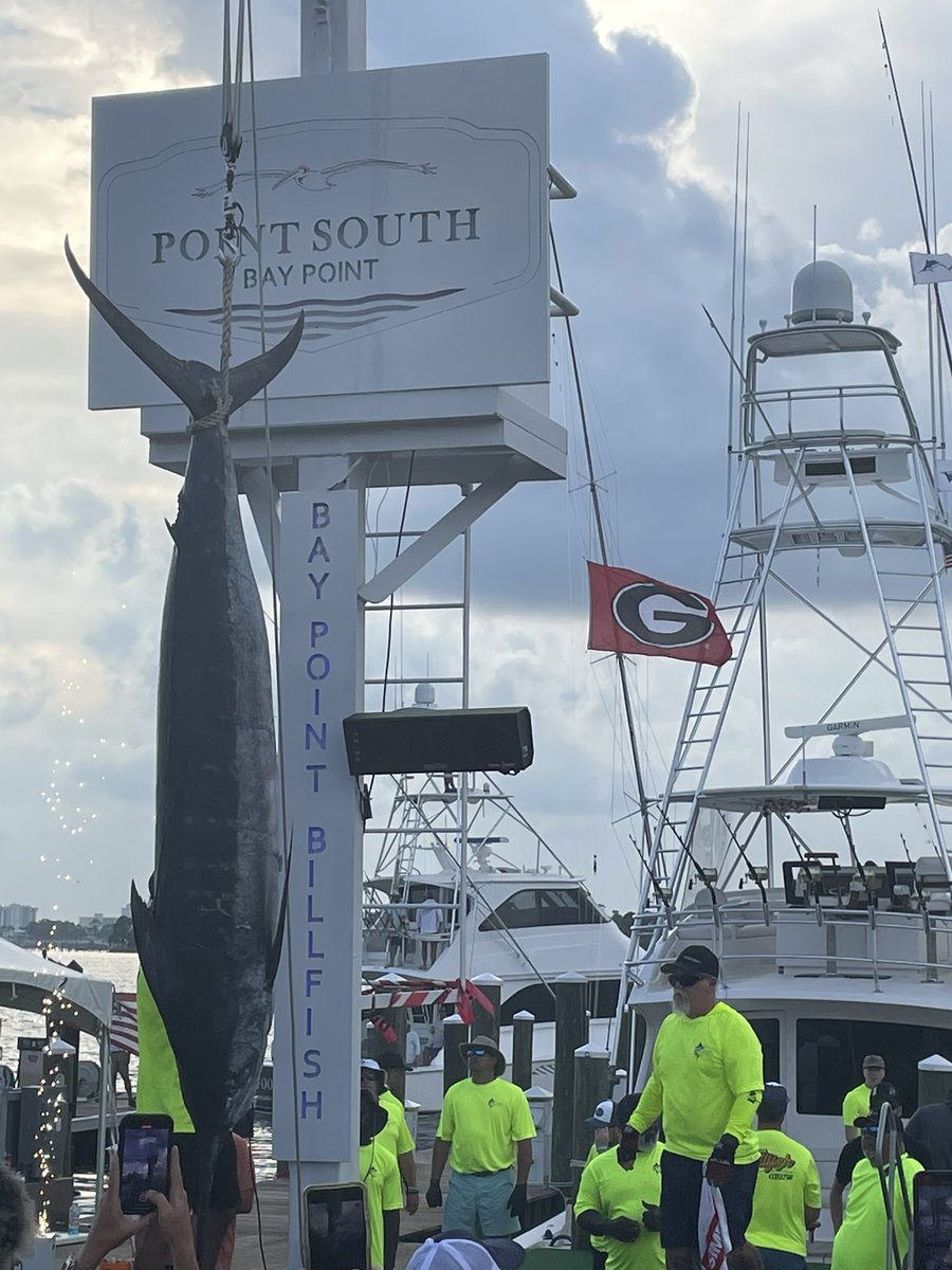 ThadStokes's tweet photo. @DawgNationDaily UGA flag flying high. Glory Glory playing over the speakers for a nice Blue Marlin at the Bay Point Billfish in Panama City Beach. https://t.co/pmYdQvm773