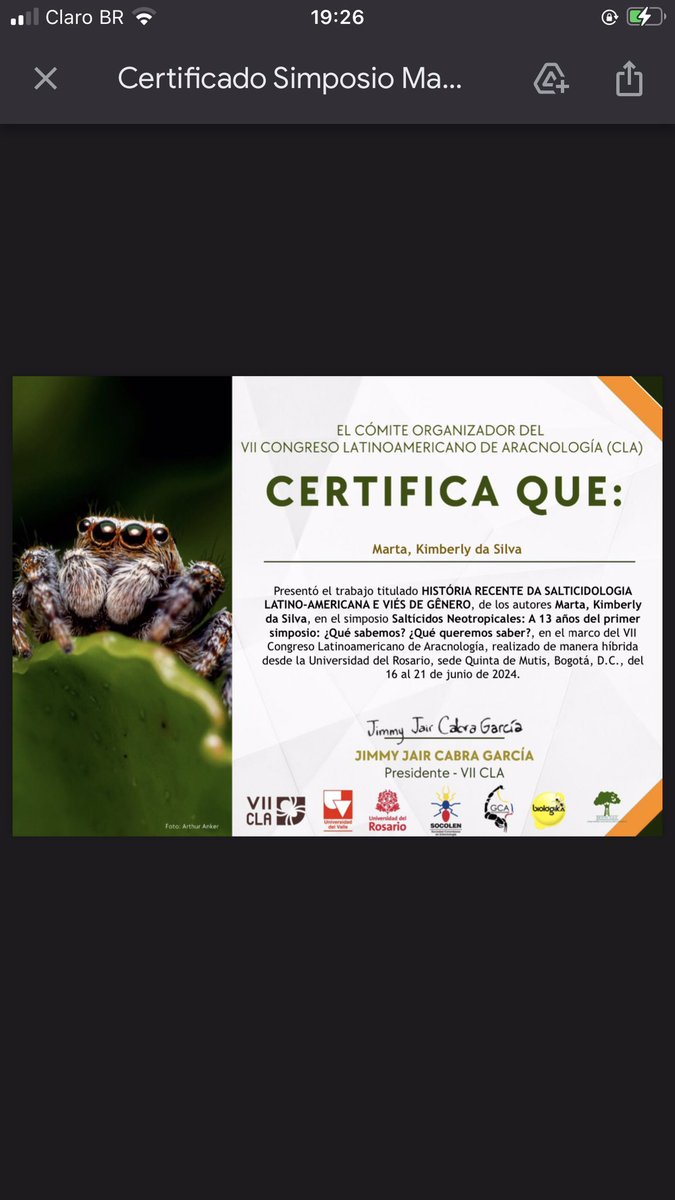 Kimberly Marta 🕷 tweet media