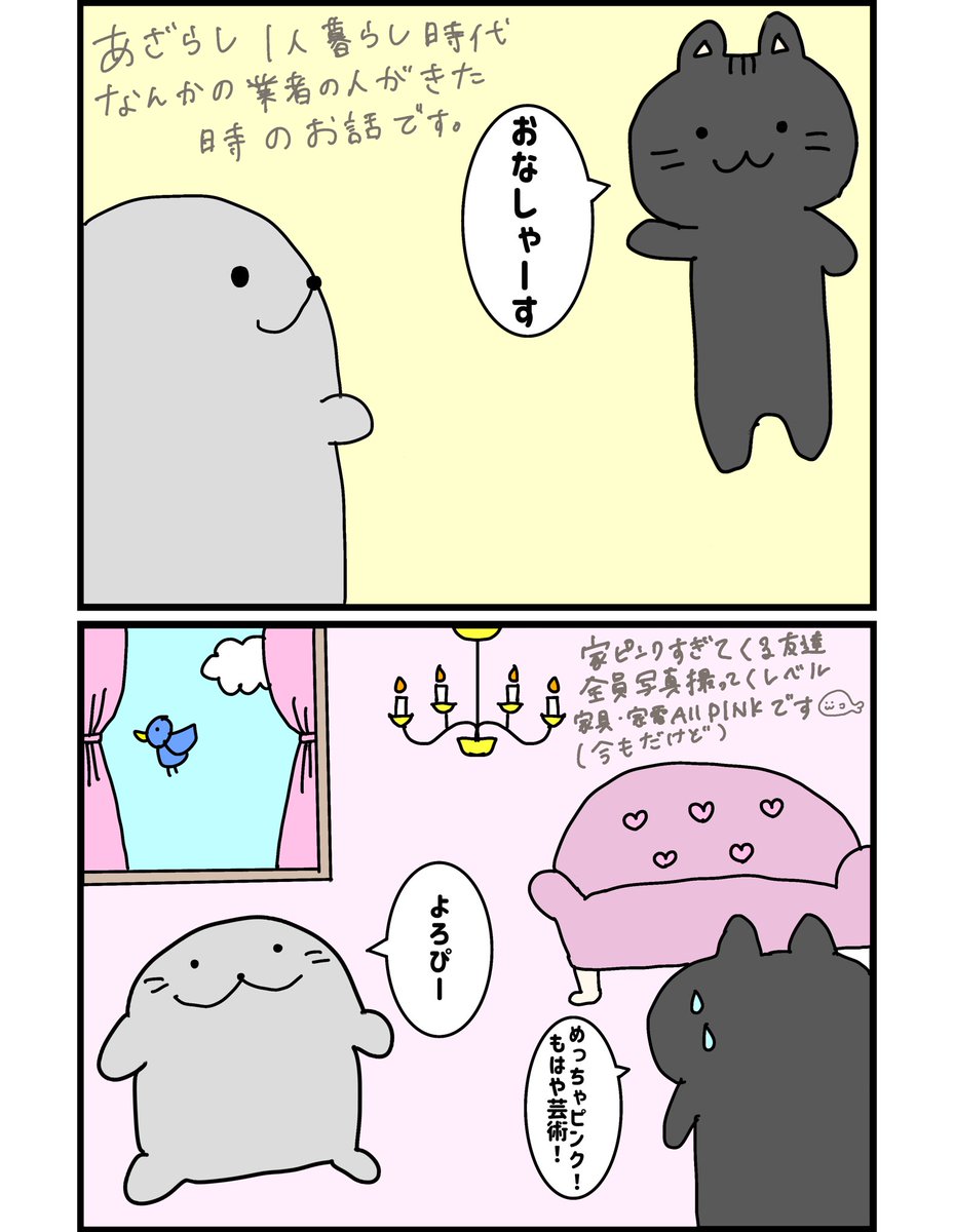 日曜日はあざらし当番🦭