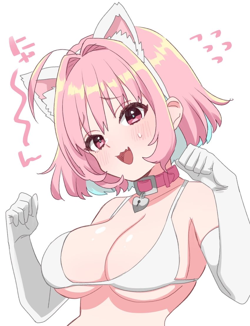 “Bunnies are smelly. Cats are much better!!” 

#Caturday