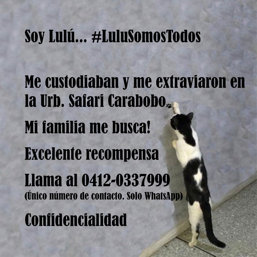 #29Jun #TWITTAZO #X DÉJATE ADOPTAR. Un traslado que nunca tuvo intención de hacerse. Una justicia que juega al olvido, al error. Indiferencia solapada, sabemos de qué lado está. #LuluSomosTodos. #DevuelvanALulu