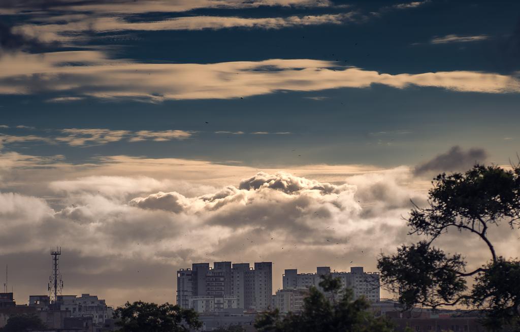 Muhammad. tweet media