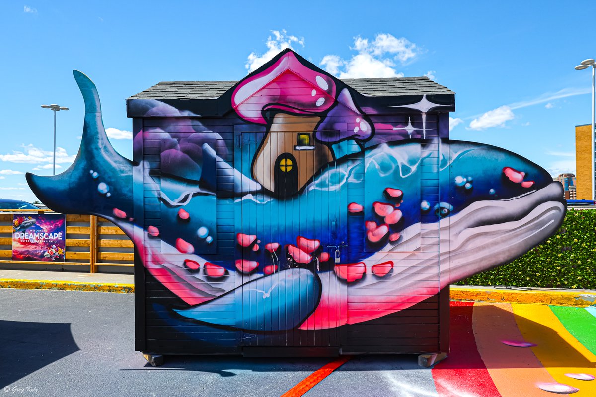 Greg Kolz tweet media