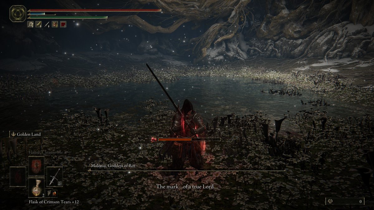 Elden Ring Melania Am Tag 3 Besiegt. Irgendwas zwischen 10 und 15 Stunden gedauert.