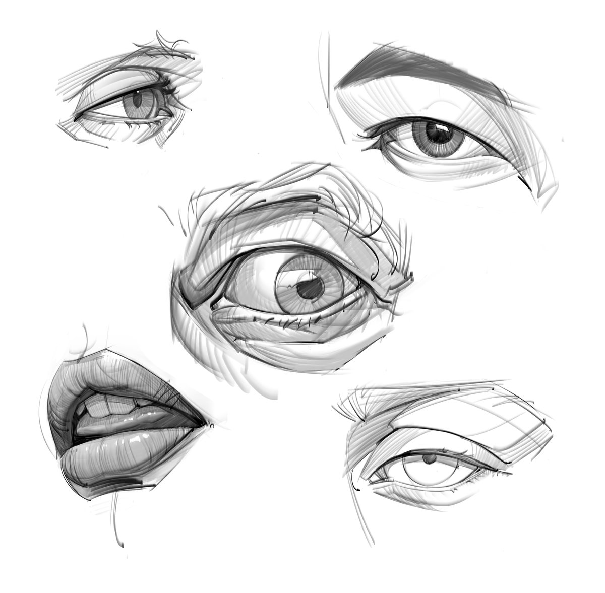 saqomolo's tweet photo. Morning anatomy studies of the eyes! #eyes #gesturedrawing #figuredrawing #gottogetbetter #lineart #art #lips #anatomy #humananatomy #shading #pupils #eyelashes #irisis #eyelids #constructiondrawing https://t.co/EaMNVpuJsz