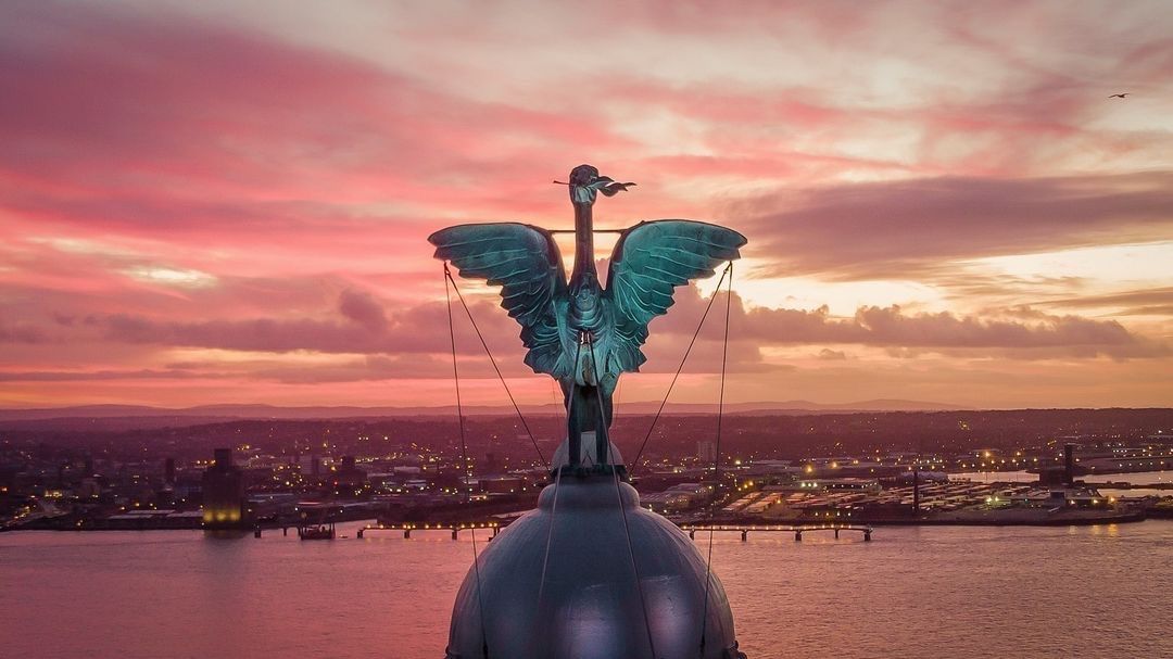 ScouseScene tweet media