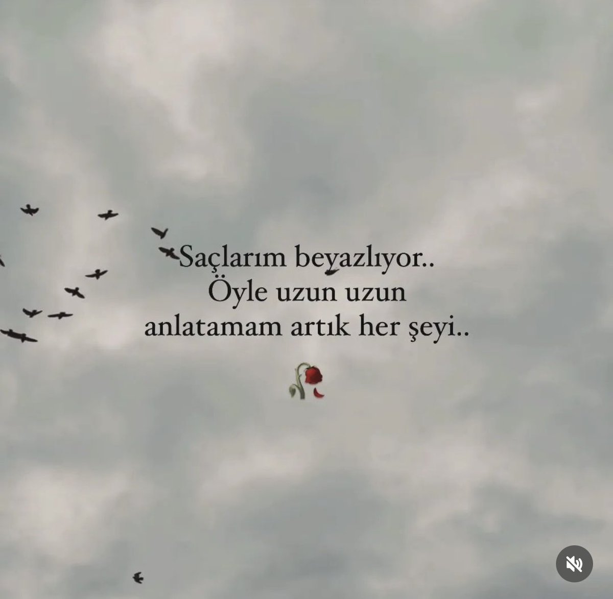 MELODİ🧚‍♂️🧚‍♂️ (@mld061) on Twitter photo 