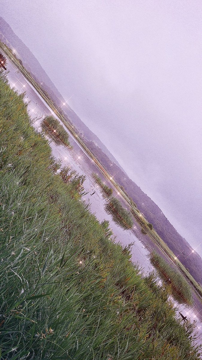 seatangles     * tweet media