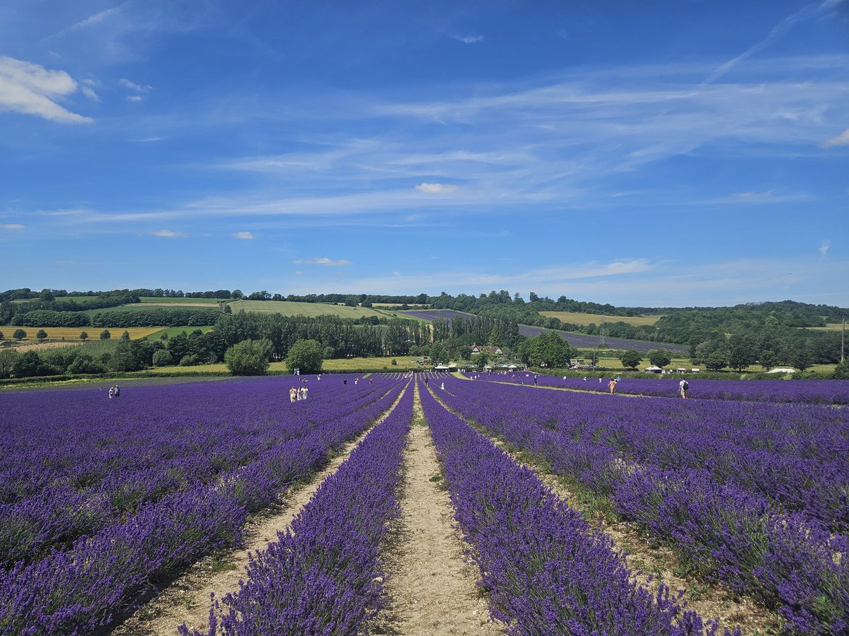 Jamie Honeyman tweet media