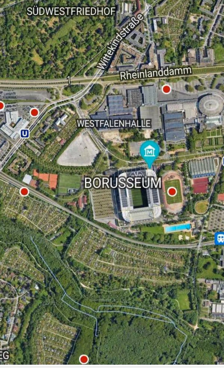 Rune Mentzoni tweet media