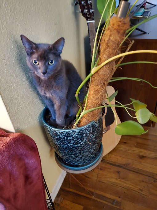I'm so sad. All I can think about is all the ways I could have been better and how much I miss her. https://t<a href="/tag/pdx"class="tags"><span>#pdx</span></a>