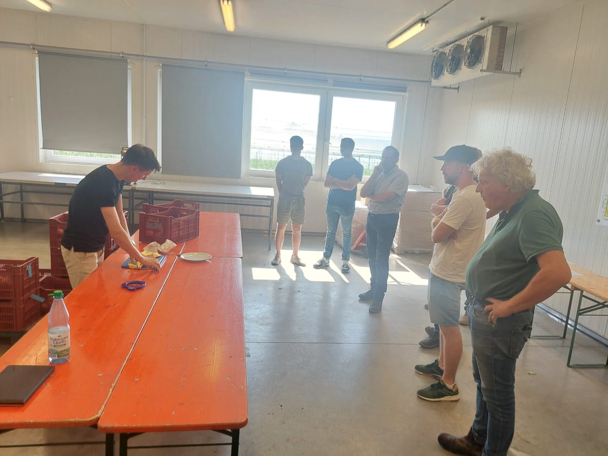 Nacherntephysi1's tweet image. One of the most important things to know about new cultivars and fruit storage methods is consumer acceptability and perception. This week, we had the incredible opportunity to taste the Cosmic Crisp and Isadora cultivars! And now for some images from that moment! #MaBo #WOG