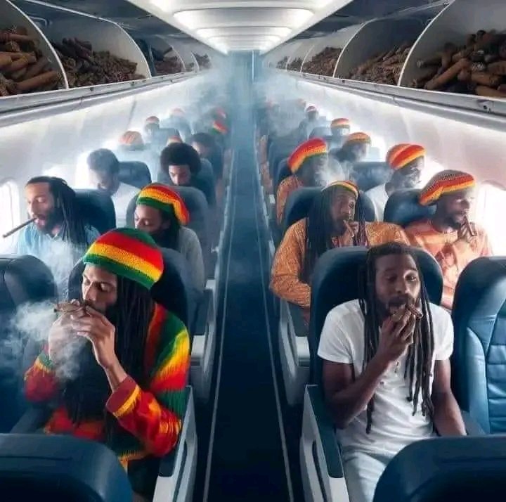 𝐀𝐥𝐩𝐡𝐚 𝐎𝐩𝐭𝐢𝐦𝐢𝐬𝐭𝐞 ☯︎︎ tweet media