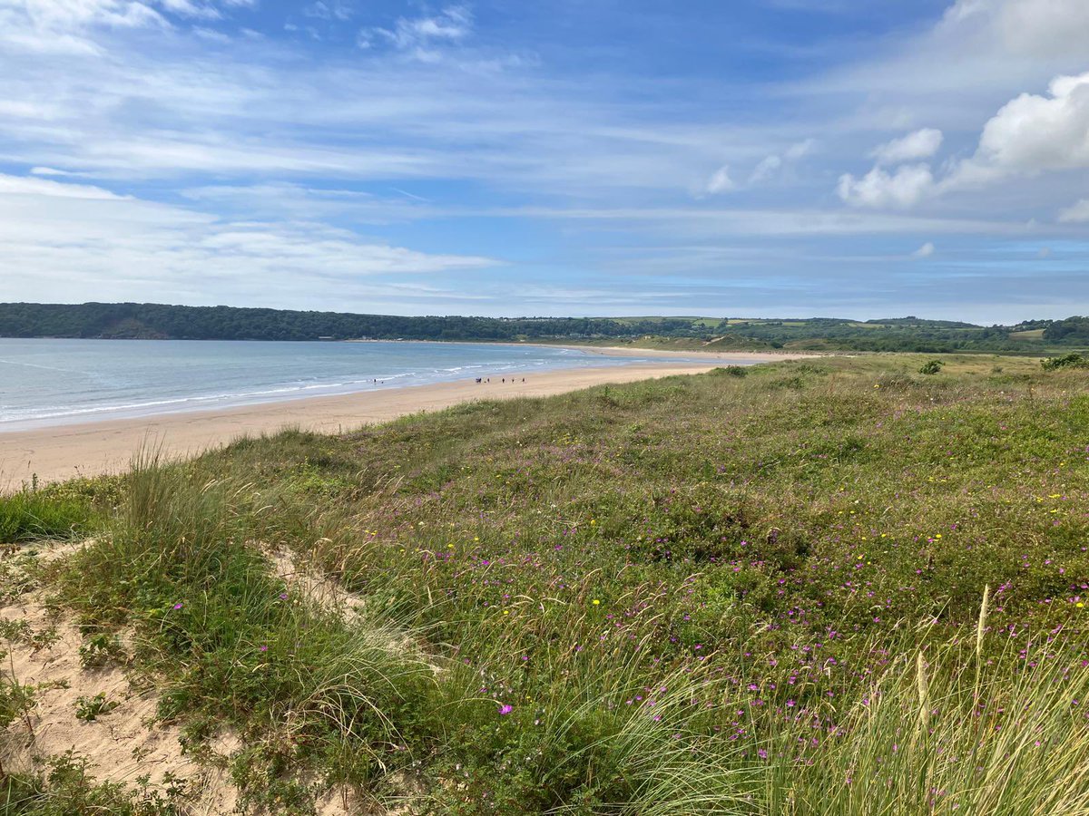 Laura Gregory tweet media