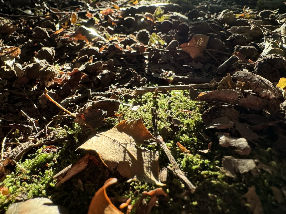 maaaagiccc's tweet photo. evening sun goes so hard https://t.co/uuNMFeZaOU