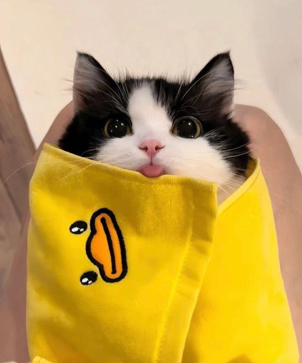 smol tongue