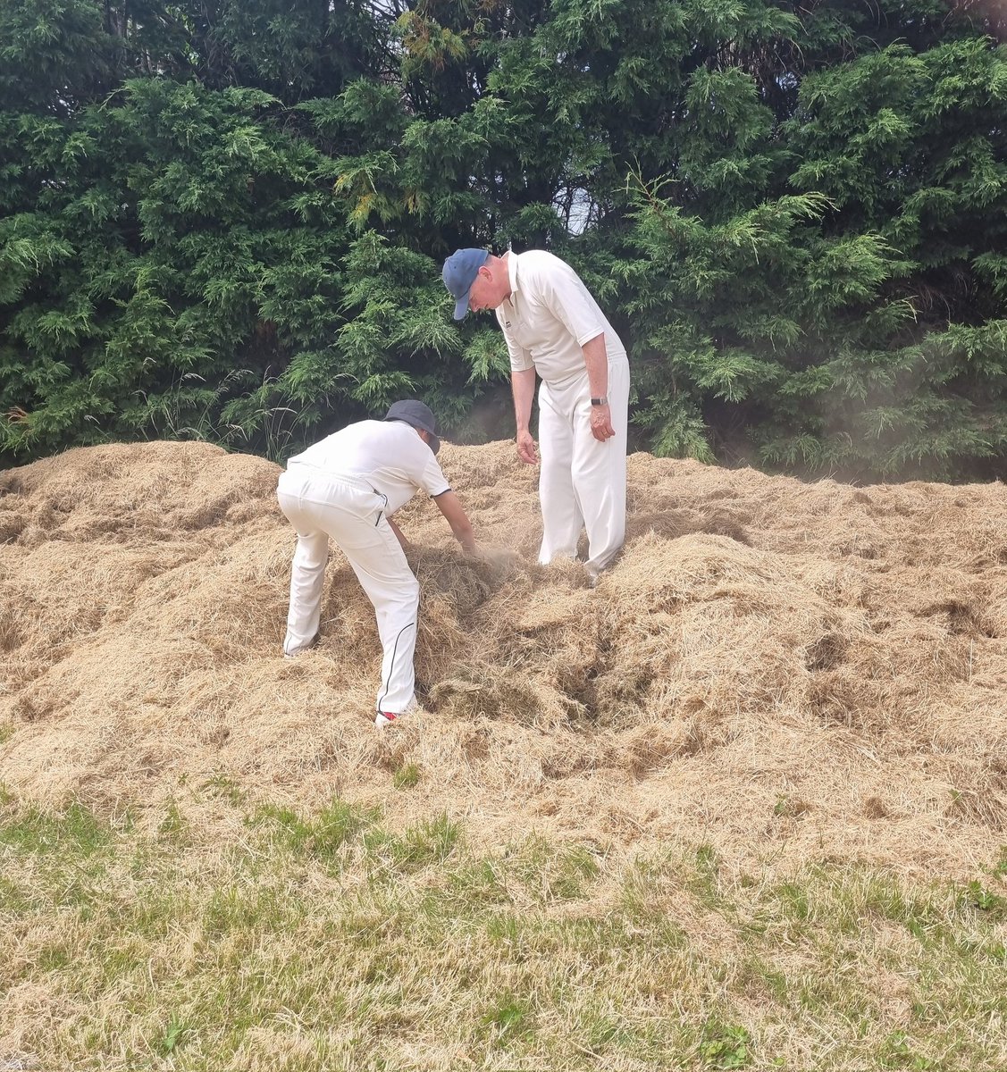 #cricket ball in a haystack this afternoon <a href="/lewespriorycc/">Lewes Priory Cricket Club</a>
