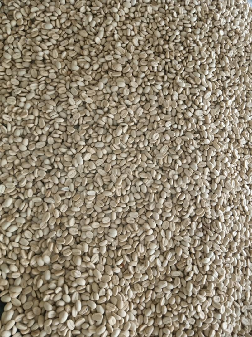 zioncoffeeug's tweet photo. Folks,
Zion Coffee is here to bring the best aroma in your cup.
#Farmit
#Brewit
#Sipit
#SharewithFriends&Frenemies
@CoffeeUganda @aydahglobal @GKatabazi @CamilaJamie @evelyne_komu https://t.co/sPUQsnr2Ss