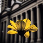 Photo by Justice House ⚖️ (@Uzzy_Style)