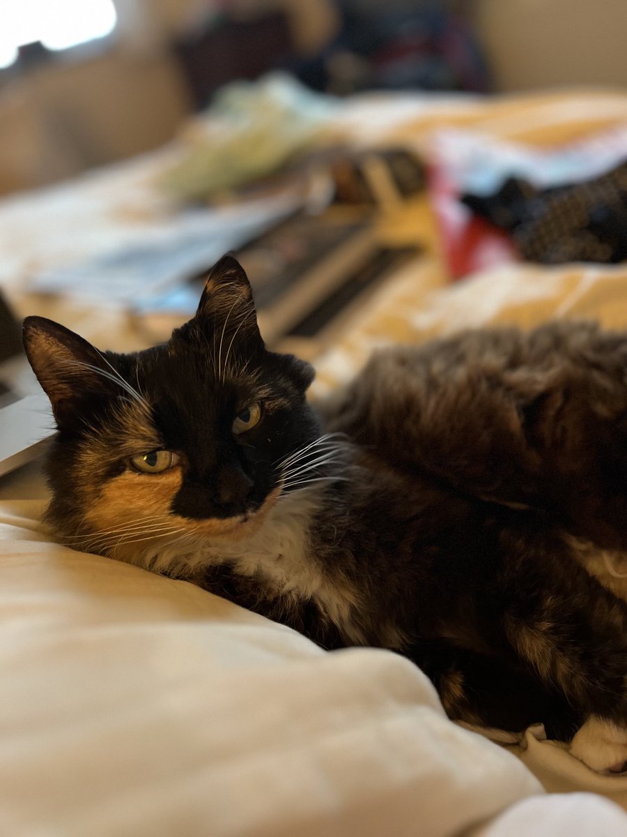 Tom Doorley tweet media