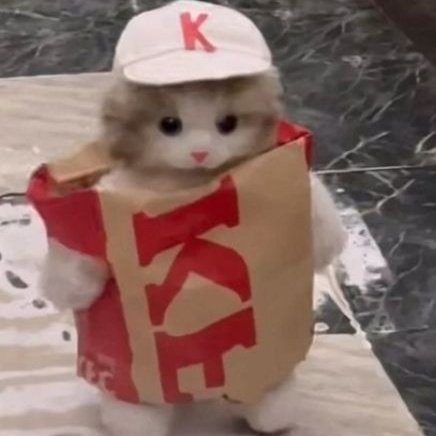 KatFCSol's tweet photo. https://t.co/WMHBW2eSQN
#KATFCCOIN #KATFC #Solana #solanatoken #SOL #KFC #Crypto #cryptocurrency #SolTradingBot #solanatrending #memecoin #memecoins #SolanaMemeCoins https://t.co/tuaTJwpYXz